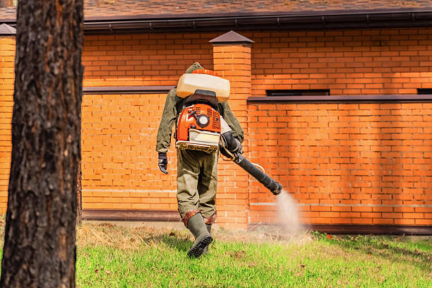 Trusted Mosquito Control service in Canyonville, OR - Nex Pest Control